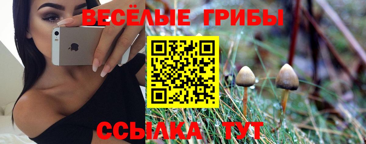 Камышин  купить наркоту  Галлюциногенные грибы Psilocybine cubensis  Вход с VPN  Псилоцибиновые грибы Cubensis 