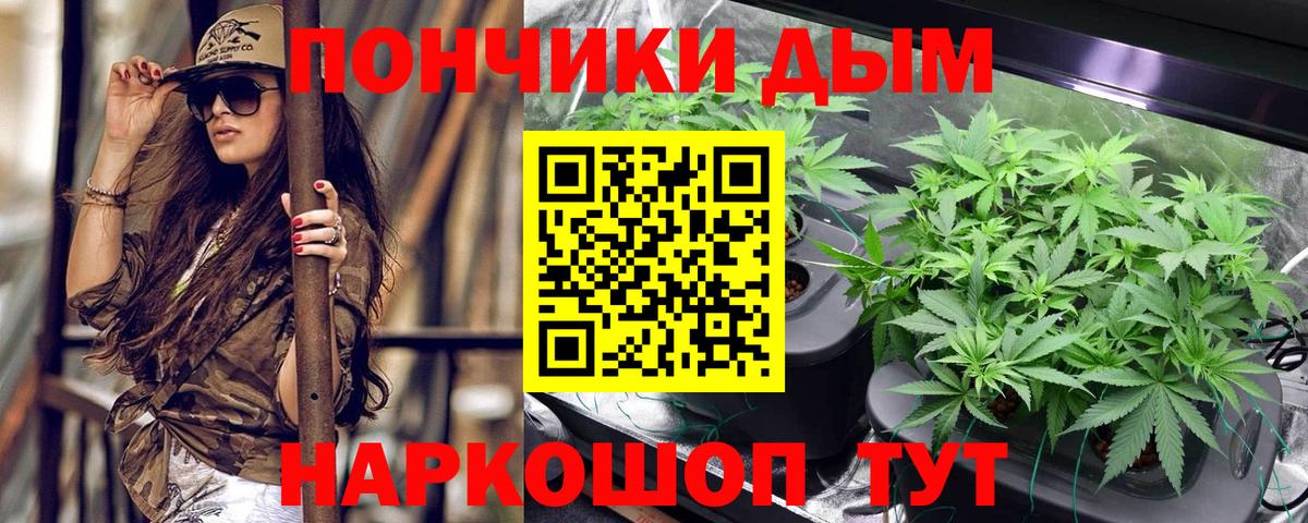 Шишки марихуана семена  Марихуана сатива  Камышин  Вход с VPN  Канабис план  Каннабис LSD WEED 